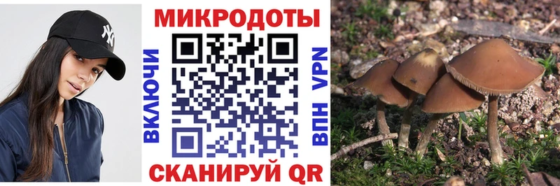 Галлюциногенные грибы прущие грибы  Минусинск 